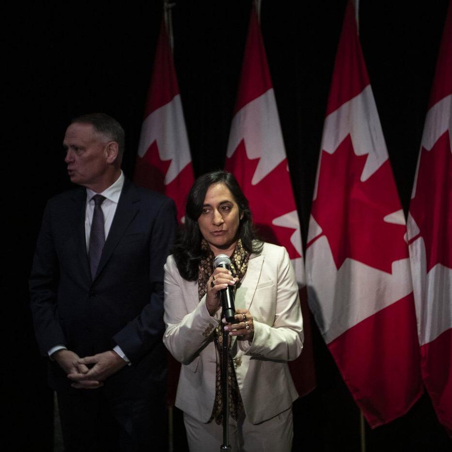 Anand says Canada summoned Russian ambassador over drone incursion into Poland